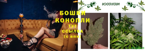 spice Вязьма