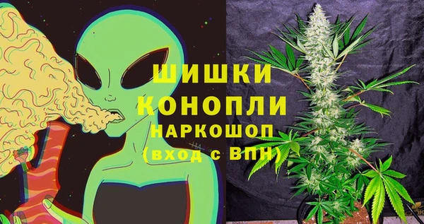spice Вязьма