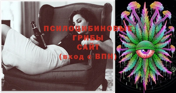 амф Вяземский