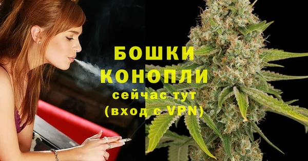 амф Вяземский
