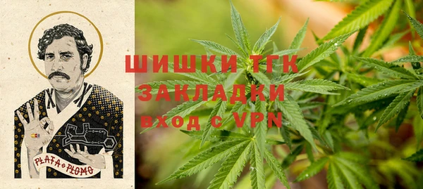 амф Вяземский