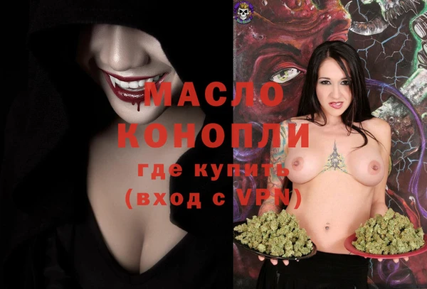 амф Вяземский