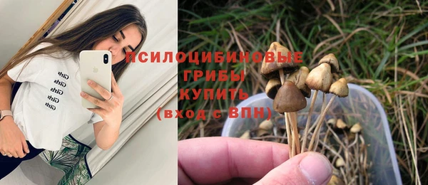 амф Вяземский