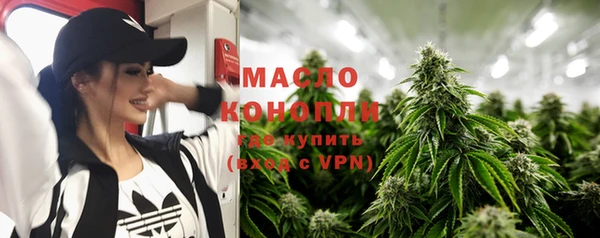 амф Вяземский