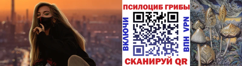 Галлюциногенные грибы Magic Shrooms  Купить где  Мыски 